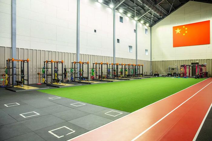 体能训练解决方案-广西mk体育 体能训练解决方案-广西mk体育