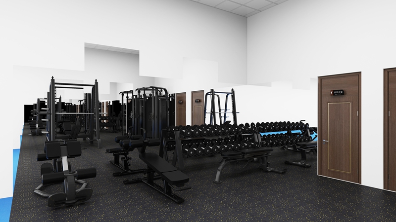 企事业单位健身房-力量器械